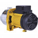 Bomba Auto Aspirante 750W 1CV 3500RPM 3800L   - FERRARI-BA750W