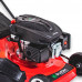 Cortador de Grama à Gasolina 4T 173.2CC 6HP CG-620-T4T com Recolhedor - BRUDDEN-9299979